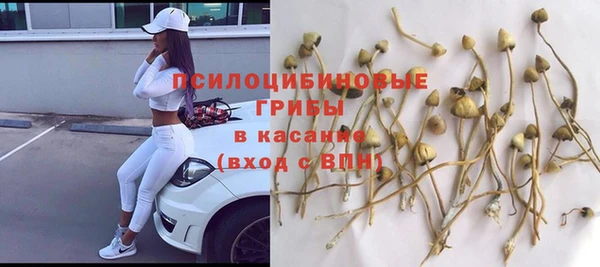 дурь Краснослободск