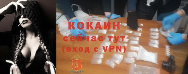 крисы Красноперекопск