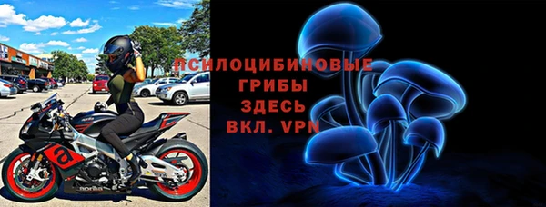 спиды Корсаков