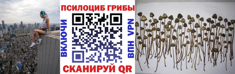 Галлюциногенные грибы мухоморы  Ладушкин 